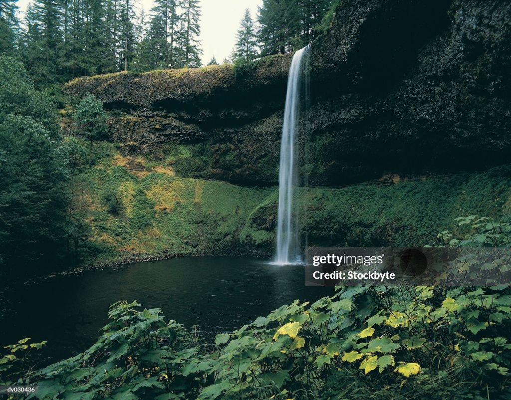 South Falls, Silver Falls National Park, Oregon, USA
