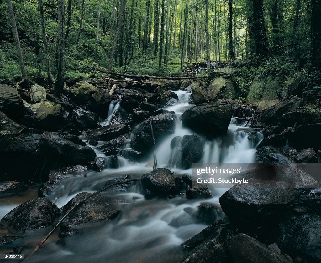 Waterfall, Amicalola Falls State Park, Georgia, USA