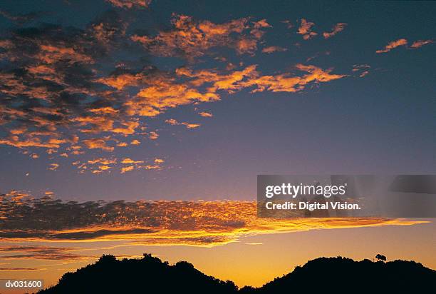 clouds in sky at sunset, orange free state, south africa - altocumulus stock pictures, royalty-free photos & images