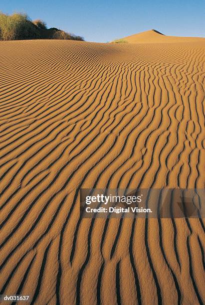 rippled desert floor, namib desert, namibia - namib foto e immagini stock