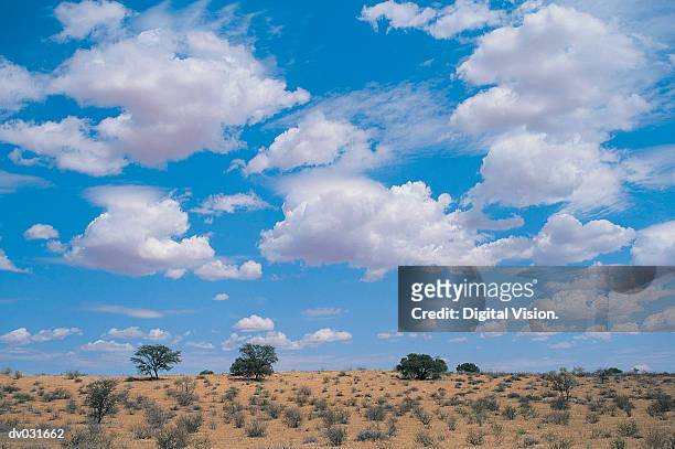 clouds over kalahari gemsbok national park - kalahari desert 個照片及圖片檔