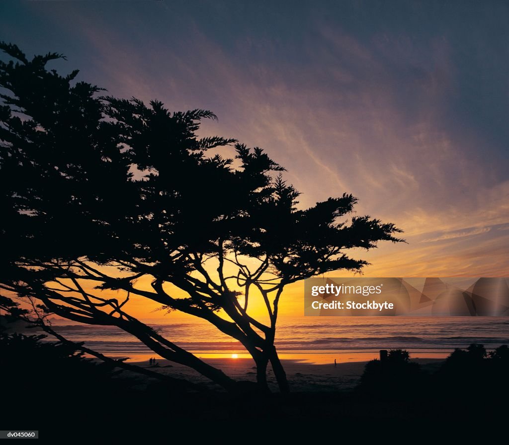 Sunset along beach on the Monterey Peninsula, Carmel, California, USA