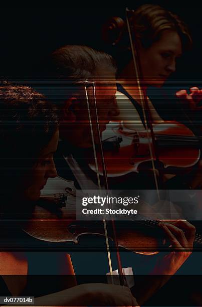 violinists - strings section stock pictures, royalty-free photos & images