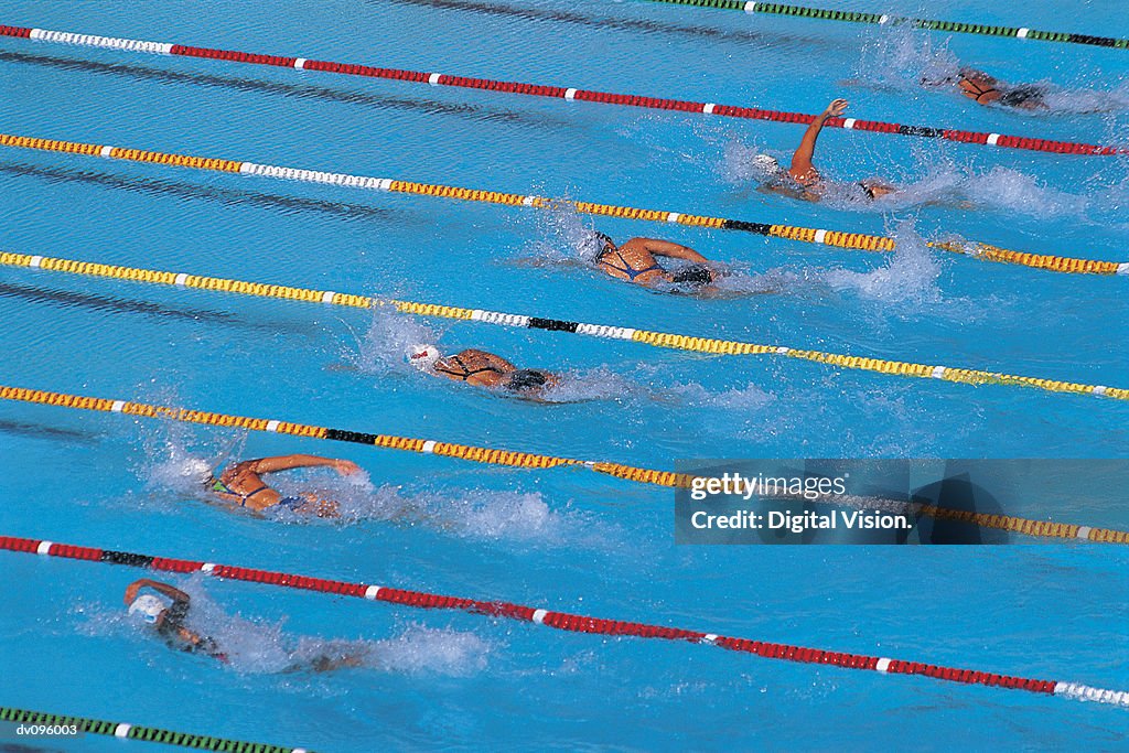 Womens Swimming Race