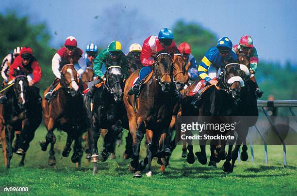 horse racing - jockey stock-fotos und bilder