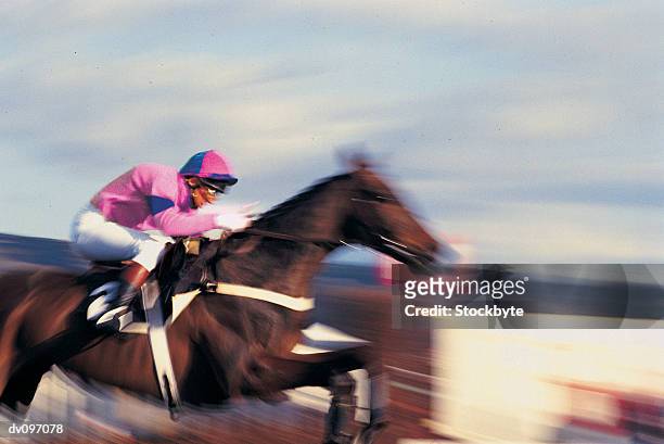 horse and jockey - steeplechasing horse racing stockfoto's en -beelden