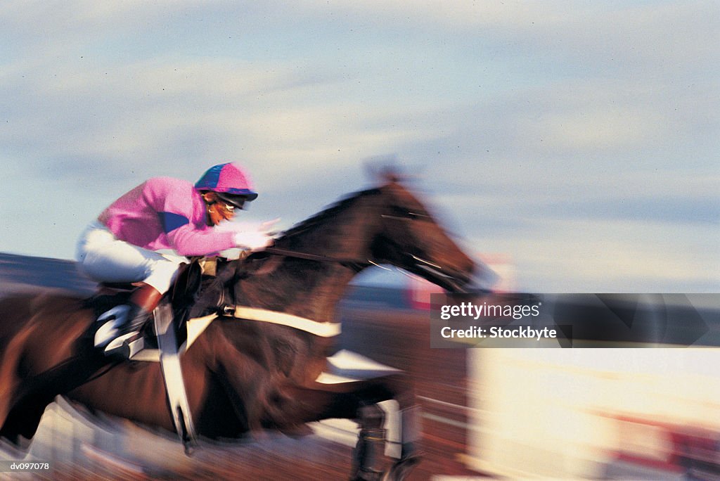 Horse and Jockey