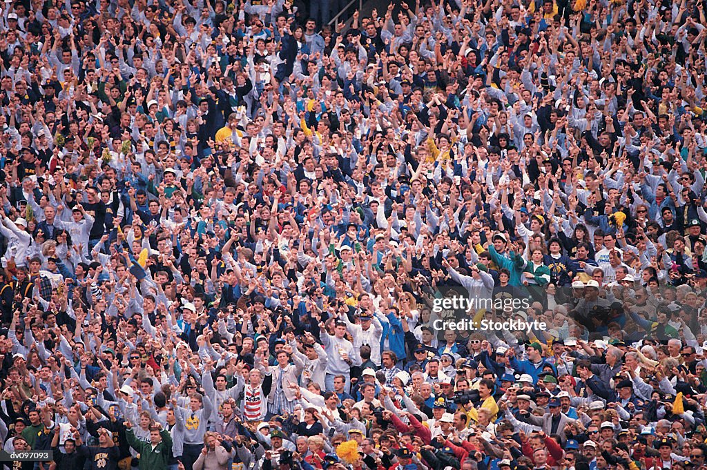 Enthusiastic crowd of spectators