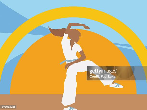 young woman doing tai chi at sunset - luke stock-grafiken, -clipart, -cartoons und -symbole