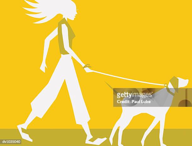 young woman walking her pet dog - luke stock-grafiken, -clipart, -cartoons und -symbole