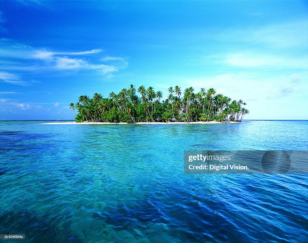 Tropical Island