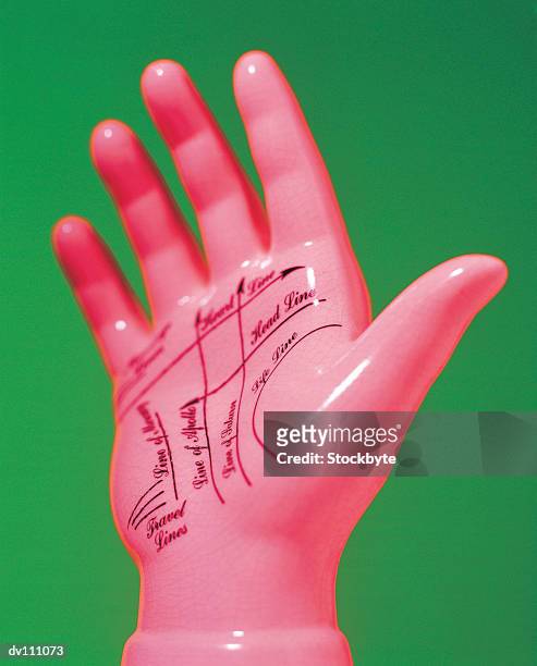 model of hand with palmistry notation - notation stock pictures, royalty-free photos & images