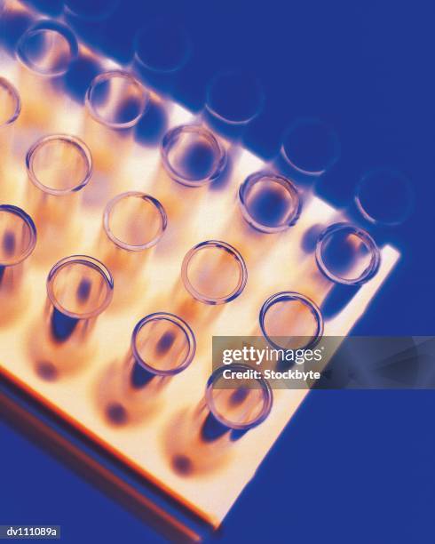Sample Test Tray Lab 925 Sample Tray Stock Photos, High-Res Pictures, and Images - Getty Images
