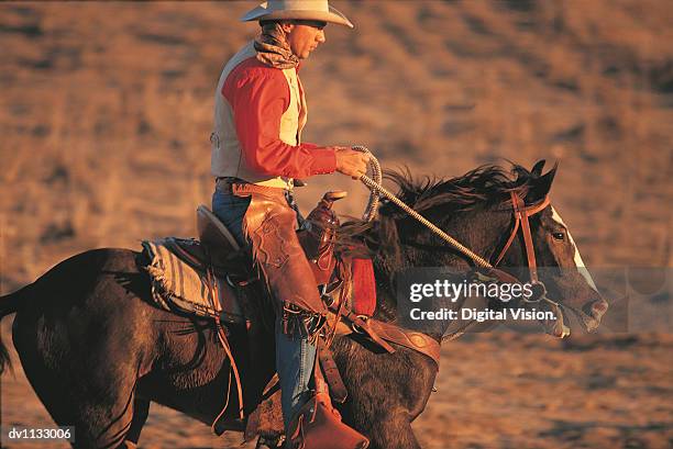 side view of a cowboy riding a bay horse at twilight, california, usa - vospaard stockfoto's en -beelden