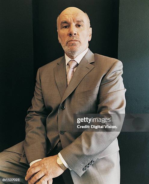 portrait of a serious, mature ceo wearing a full suit - man portrait full body 50's bildbanksfoton och bilder