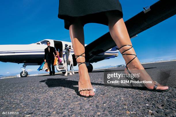 couple standing on a runway in front of a private aeroplane with a dog - pampered pets stock pictures, royalty-free photos & images