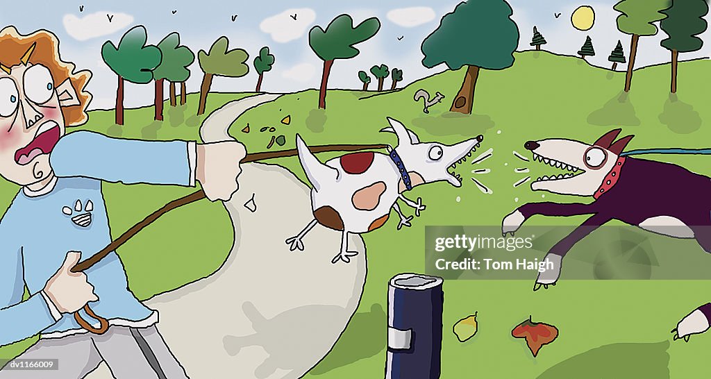 Young Man Pulling His Dog Away From Another Barking Dog in the Park