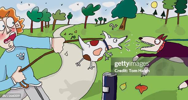 young man pulling his dog away from another barking dog in the park - dog pulling stock illustrations