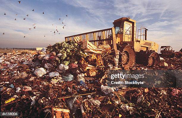 garbage dump outside buenos aires - buenos aires province stock pictures, royalty-free photos & images