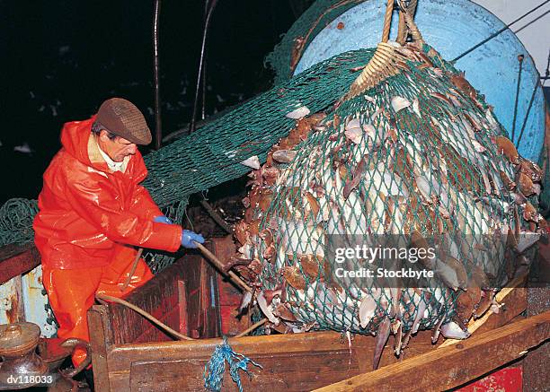 fisherman emptying catch into fish pound on 20m trawler in north sea,uk - trawler net stock-fotos und bilder