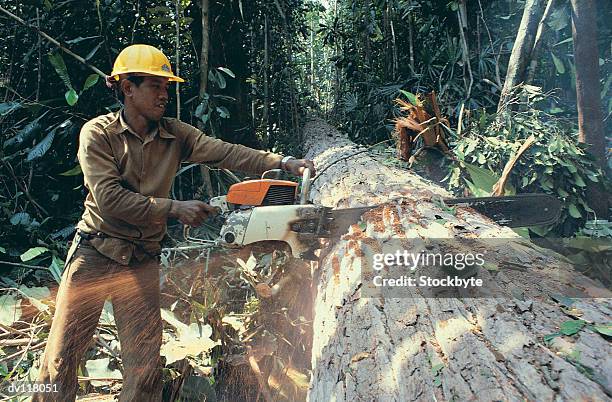 chainsaw being used to cut up tree in philippines - forestry worker stock pictures, royalty-free photos & images