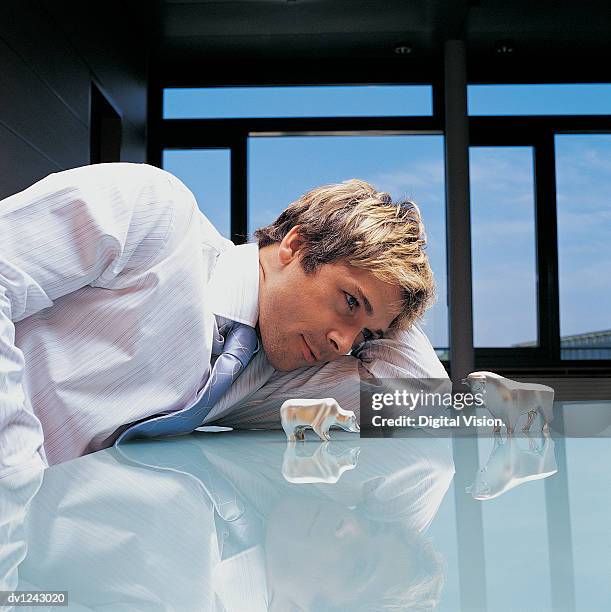 businessman sitting at a table with his hand behind his head looking down at a toy bull and a toy cow - frosted glass stock pictures, royalty-free photos & images
