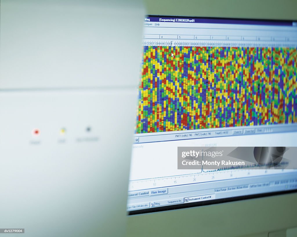 Close Up of DNA Sequencing on a Computer Monitor From a DNA Analysis Machine