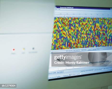 Close Up Of Dna Sequencing On A Computer Monitor From A Dna Analysis ...