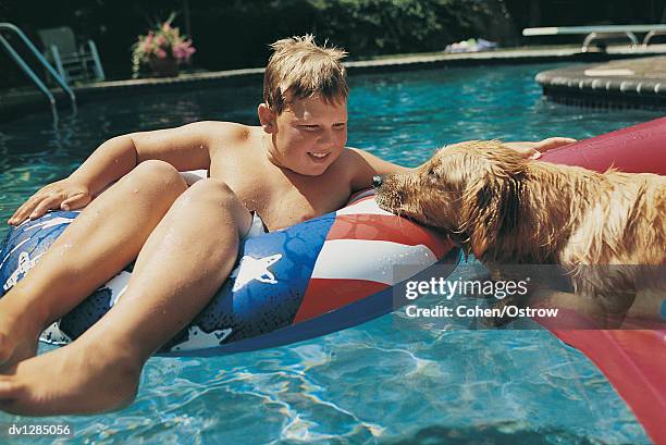 young boy sitting in a rubber ring by his dog on an air bed in a swimming pool - rubber ring stock-fotos und bilder