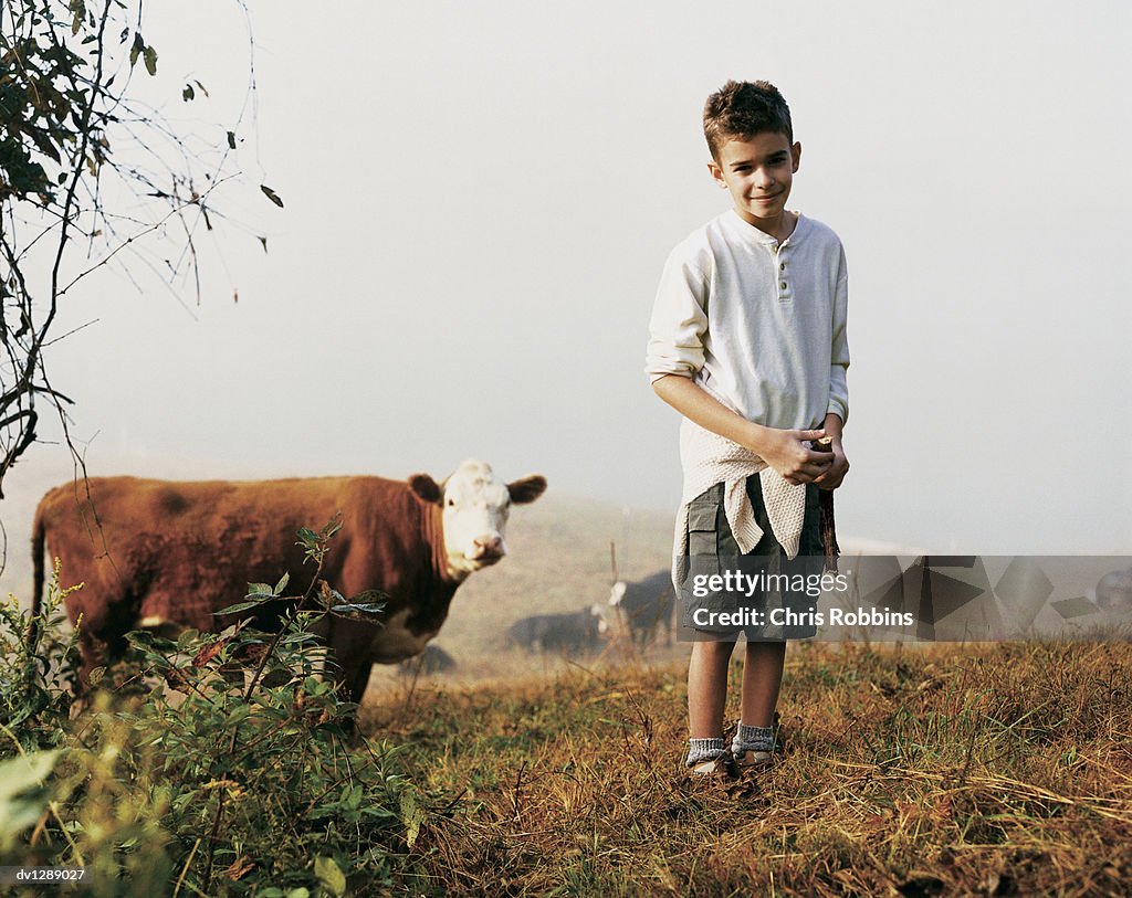 Boy Standing on a Misty Hill With a Cow Standing Behind Him