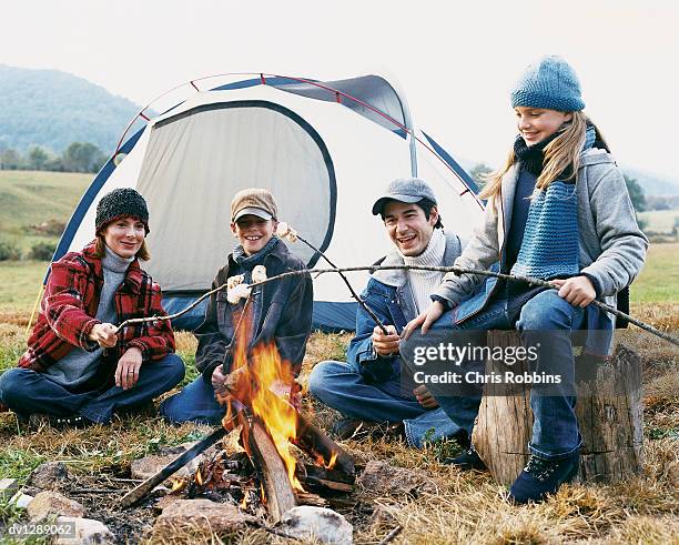 family of four toasting marshmallows on a campfire, girl sitting on a log - campfire girl stock pictures, royalty-free photos & images