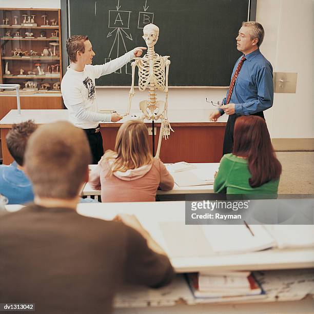 young university student pointing at a human skeleton watched by a lecturer and other students - being watched stockfoto's en -beelden