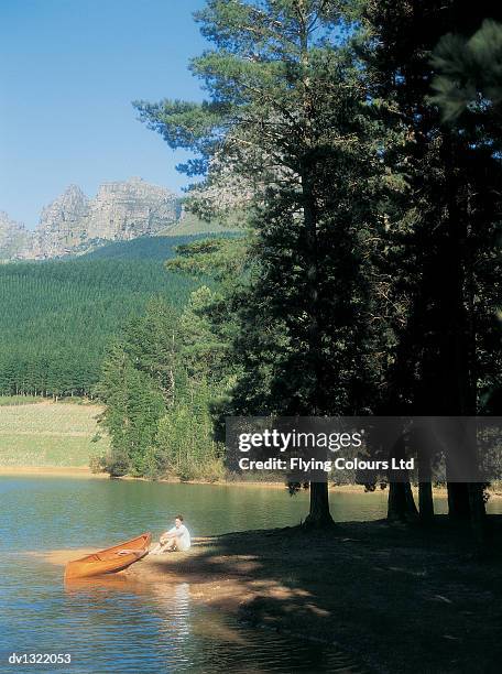4,460 Pine Lake Stock Photos, High-Res Pictures, and Images