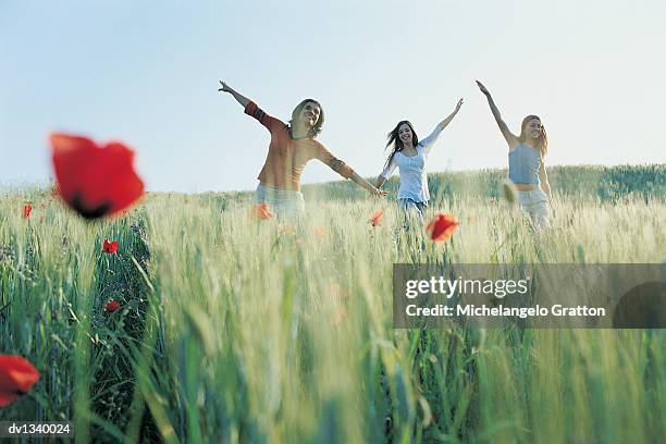 three young women with their arms outstretched standing in a field of grass and poppies - stehmohn stock-fotos und bilder