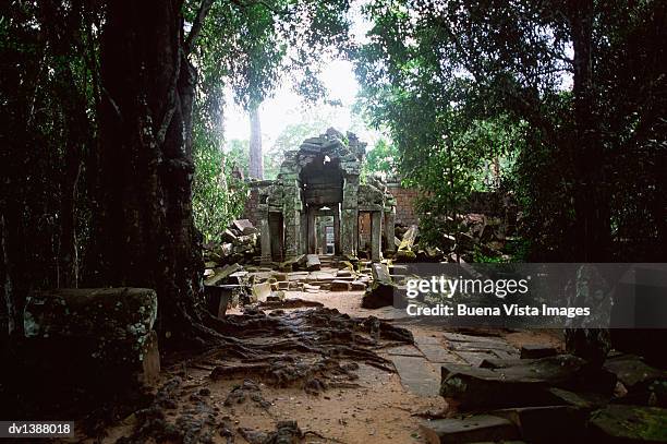 ta prohm temple, angkor wat, angkor, cambodia, asia - voyage15 photos et images de collection