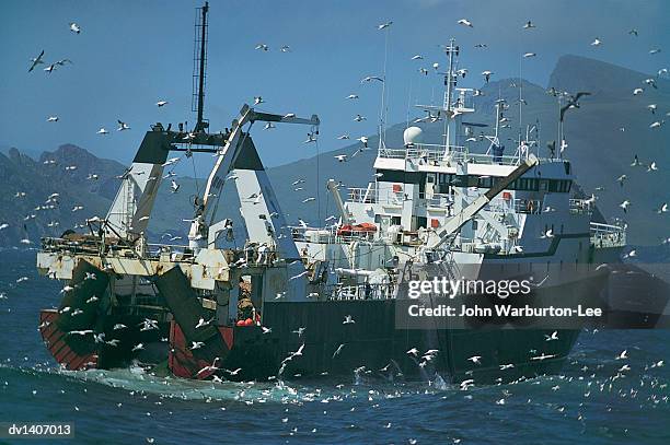 fishing trawler followed by a large flock of seagulls, st kilda, orkney islands, scotland - warburton stock pictures, royalty-free photos & images