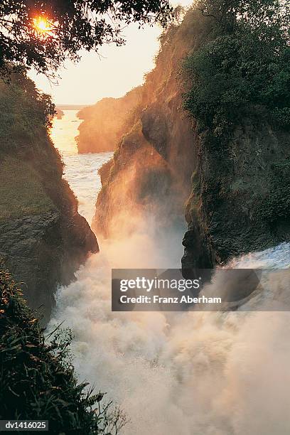 sunset over murchison falls, river nile, uganda - murchison falls national park stock pictures, royalty-free photos & images