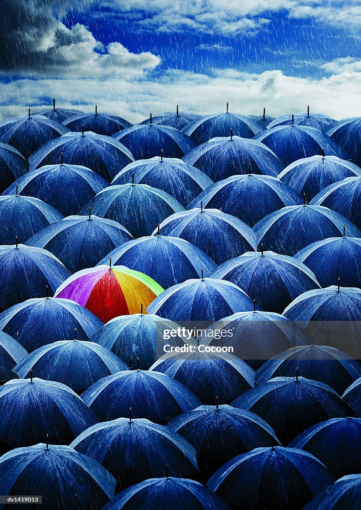 Multi-coloured Umbrella Amongst a Large Group of Umbrellas Open in the Rain