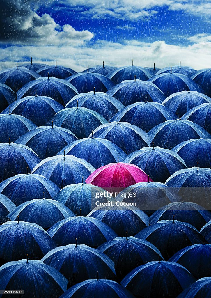 Red Umbrella Amongst a Large Group of Umbrellas Open in the Rain