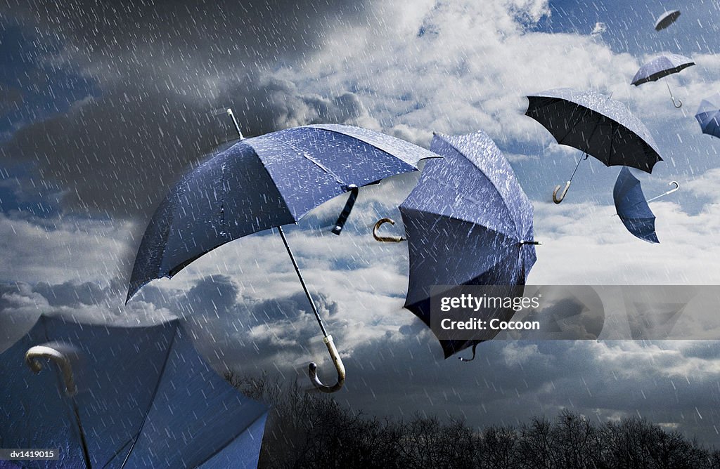 Group of Umbrellas in Mid-air in the Wind and Rain