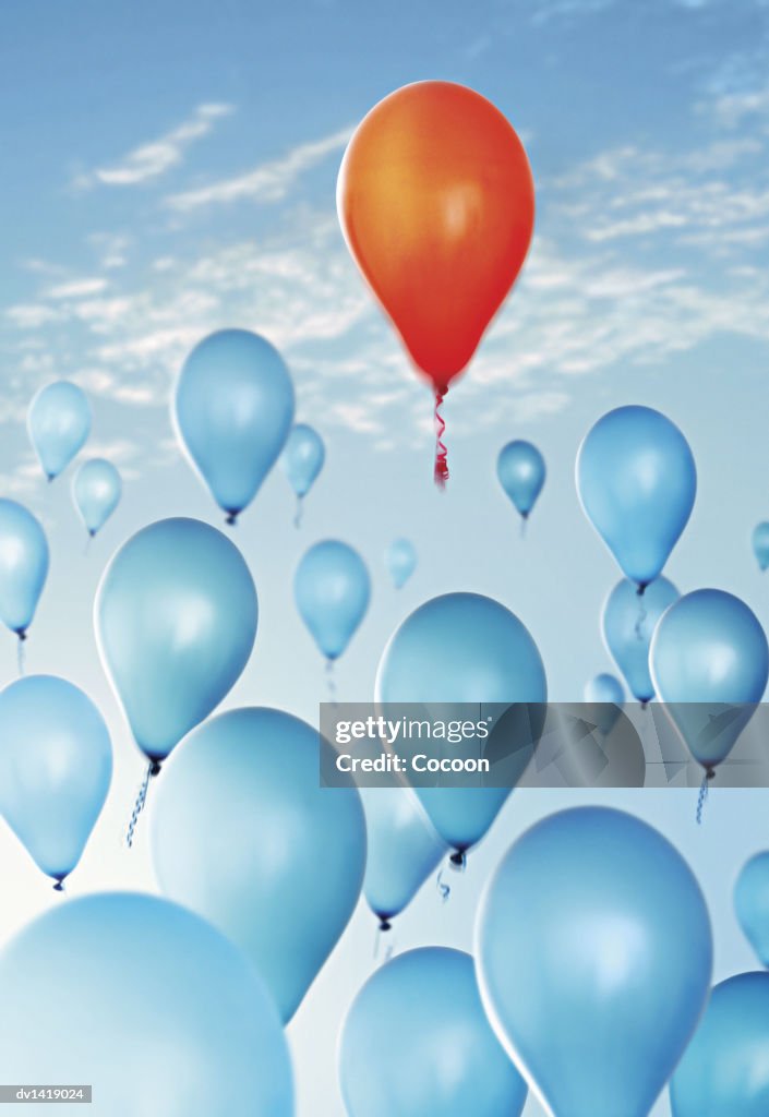 One Red Balloon Standing Out From a large Group of Blue Ones, in Mid-Air