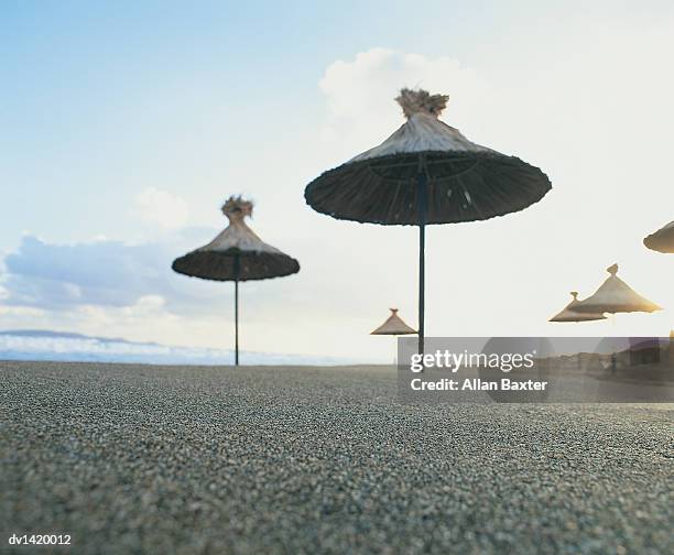 bamboo parasols on an empty beach, crete - bamboo beach stock pictures, royalty-free photos & images