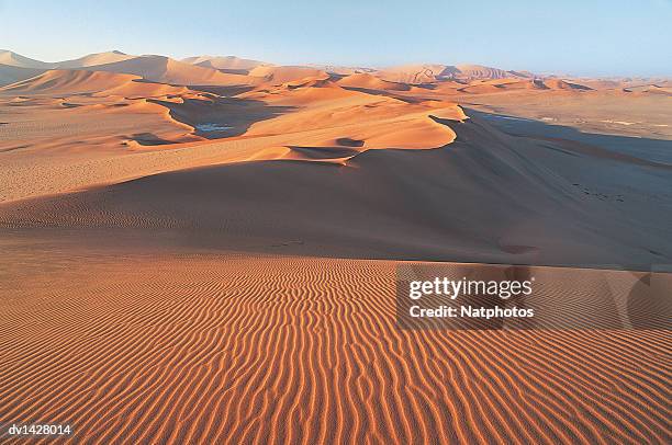 dunes in the namib desert, sossusvlei national park, namibia - namib foto e immagini stock