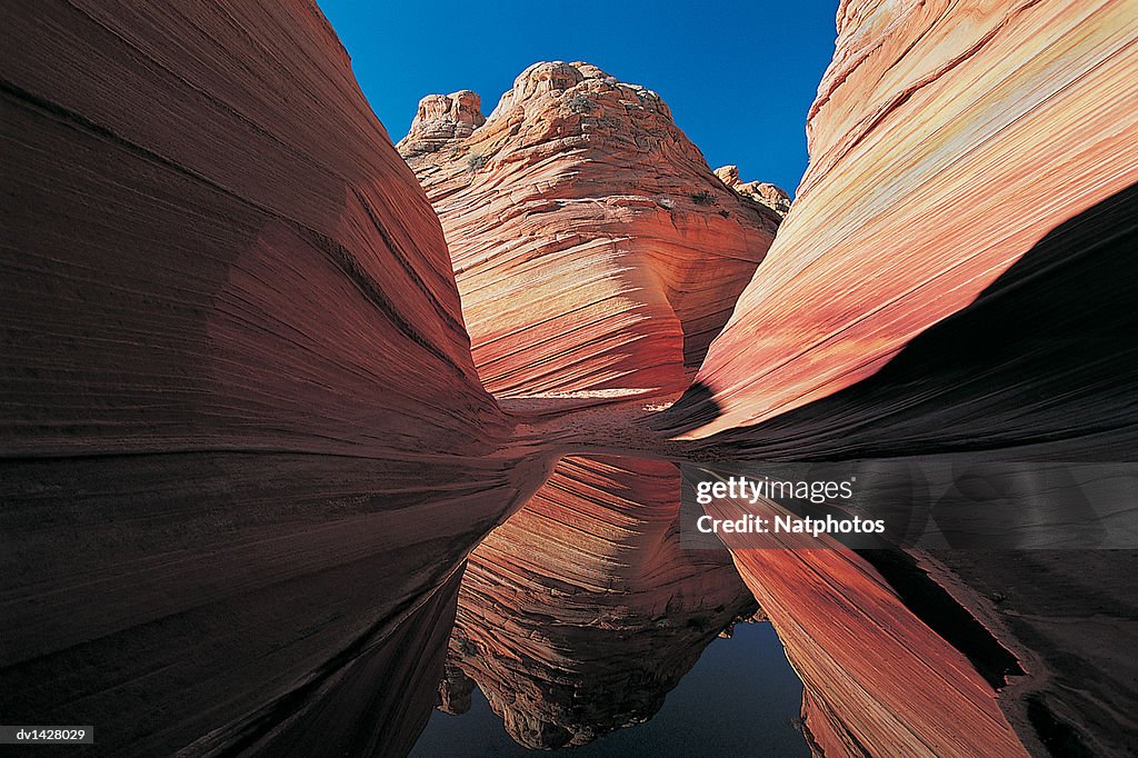 Coyote Buttes Reflected in a Puddle, Colorado Plateau, Paria Wilderness Canyon, Utah, Usa