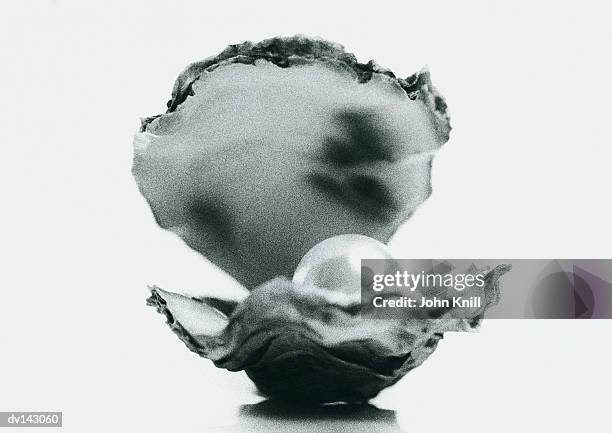 oyster opening to reveal large pearl - pearl imagens e fotografias de stock