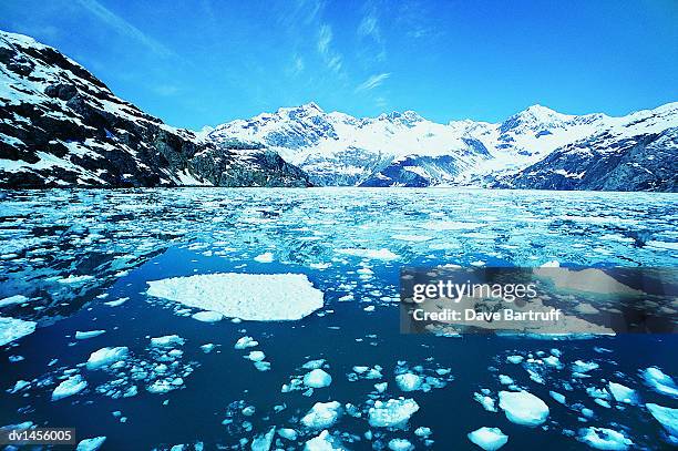 moutains and ice floating on the sea, glacier bay national park, usa - glacier bay stock pictures, royalty-free photos & images