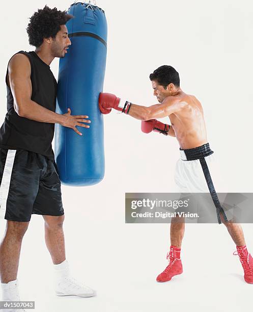 Practising Boxing 1,337 Holding Boxing Gloves Stock Photos, High-Res Pictures, and Images ...