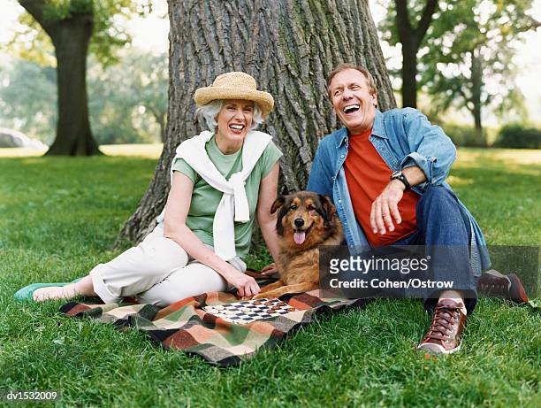 two people sit playing draughts on a blanket under a tree - tree people stock-fotos und bilder