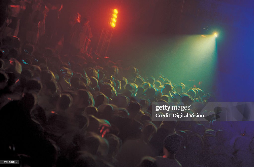 Nightclub crowd