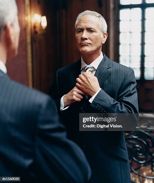 ceo looking at a mirror in a pinstripe suit adjusting his tie - tela rayada fotografías e imágenes de stock